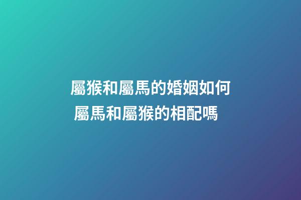 屬猴和屬馬的婚姻如何 屬馬和屬猴的相配嗎